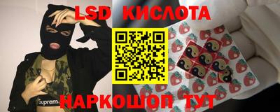 тгк Пенза