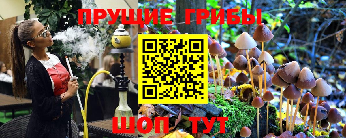 Нарткала  Галлюциногенные грибы MAGIC MUSHROOMS  Вход с VPN 