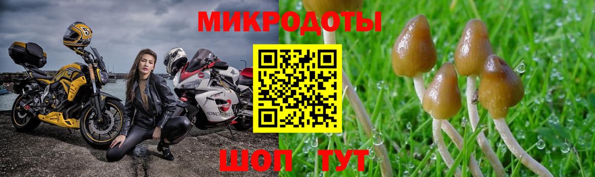 Псилоцибиновые грибы мухоморы Нарткала